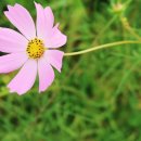 건성(주) 이미지