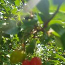 우원사우나 이미지