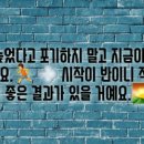 21세기결혼정보