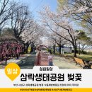 낙동제방 데크 전망대 입구 | 부산 사상구 삼락생태공원 벚꽃 낙동제방벚꽃길 전망대 위치 주차장