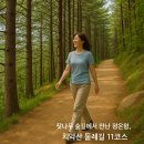 치악산둘레길 11코스 한가터길 | 📍치악산 둘레길의 피날레, 11코스 한가터길 완주기｜잣나무 숲길에서의 힐링 산책