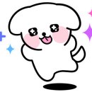 현대출장세차 이미지