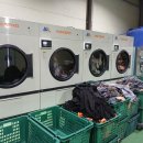 성실세탁 이미지