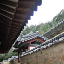 [구미 금오서원] 야은 길재 모신 곳 이미지