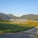 옥산리농로 네이버블로그