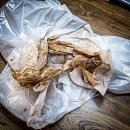 대전하기초등학교 | 진짜 속까지 뻥 뚫리는 대전하수구 구원자 만났어요