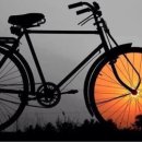 중앙동259 이미지