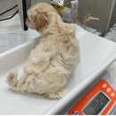 온리동물병원 이미지