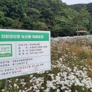 꽃길따라농장 이미지