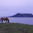 동광금속 이미지