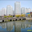 칠성교 이미지
