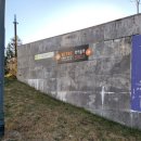 코리아세븐 일산설문대로점 | 23th 궁디팡팡 캣페스타 후기