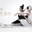 국립발레단 ’백조의 호수’ 이미지