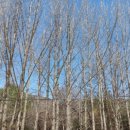 낭성면 보건지소 이미지