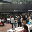 딜라이트인 이미지