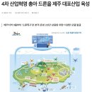 드론전망 / 4차 산업혁명 총아 드론을 제주 대표산업 육성_제주매일 발췌 이미지