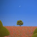 유토피아 이미지