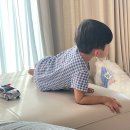 하루살이의 잡다구리 일상