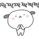 비마이디 이미지