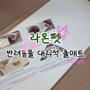 쿨서비스 | 라온펫 반려동물 대리석 쿨매트 내돈내산 후기