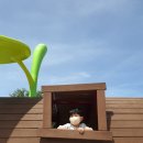 레인보우순카페 이미지