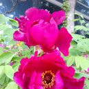 세종문고 앞 이미지