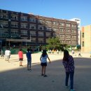 매탄초등학교 이미지