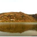 쉬리농장 이미지