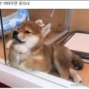 흠 이미지