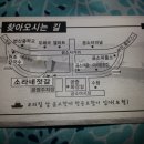 소라네젓갈