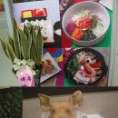 초밥나라 이미지