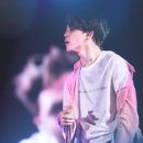 지민우드 이미지