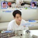 베짱이청소