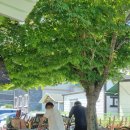 맑은산장2 이미지