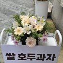 쁘띠누아