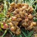 흥산농장 이미지