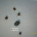 혜인종합 동물병원 이미지