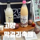 정발산역2번 출구(문화광장) | 2025 고양 전국막걸리축제 시음 후기, 막걸리 추천