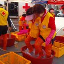 문화세탁 이미지