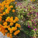 대광당한약국 이미지