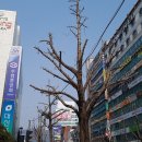 가가스튜디오 이미지