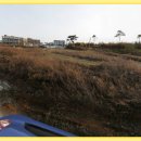 오토공인중개사사무소 이미지