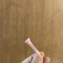 도세탁셀 2차(항암 6차) 후 3주차 일상