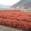(주)아주농장 이미지