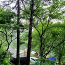 설매재자연휴양림 야영장 이미지