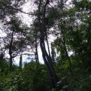 영숙농장 이미지