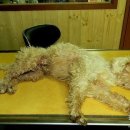 괴정3동-3 이미지