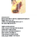 이레농장 | 비가오면 다음날이 기대되는 이유 (feat. 5월&amp;6월 예약창 전격오픈!!)