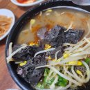 955 | 수원 인계동 맛집. 주차 편한 양평해장국 본점 + 효원공원 955카페 솔직 후기