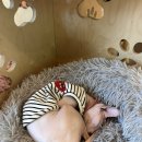 집사의하루 남포점 이미지